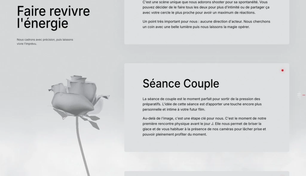 Freewill Studio — Présentation des prestations