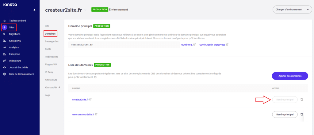 Comment choisir son domaine préféré avec kinsta