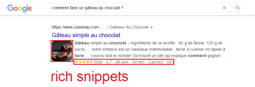 Aperçu de rich snippets sur Google