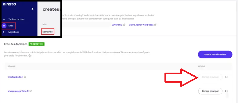 Choisir son nom de domaine préféré avec Kinsta