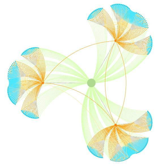 Visualisation d'un maillage interne (cocon sémantique)