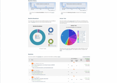 Vue d'ensemble agrandi de l'outil SEO Majestic