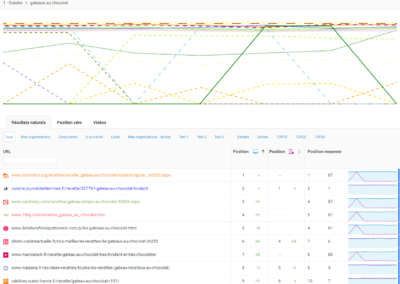 L'analyse des mots-clés et leurs variations avec Monitorank