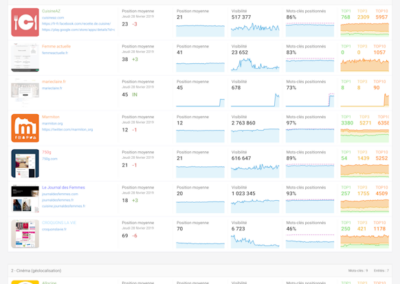 Synthèse du suivis des positions avec Monitorank