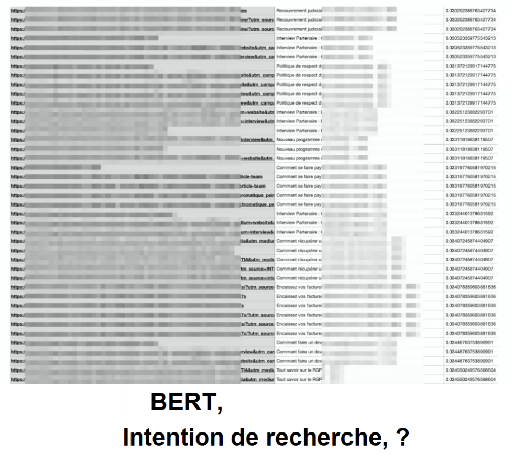 Analyse de l'intention de recherche des pages avec BERT